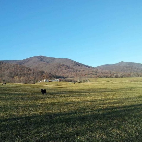 Profile Picture of Brian Barlow (@below2184) on Poshmark