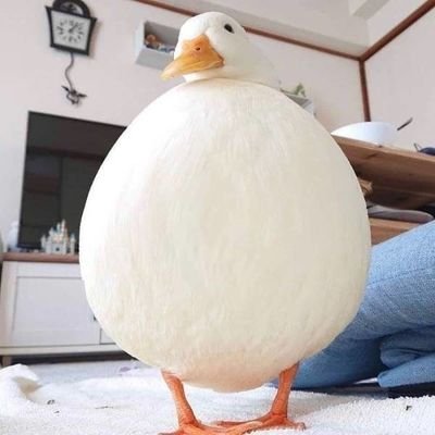 Profile Picture of Jon Kepler (@JonKepler3) on Twitter