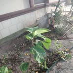 Profile Picture of Rene Armenta (@rene.armenta.766289) on Facebook