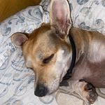 Profile Picture of Cathy Engebretson (@cathydhs42) on Instagram