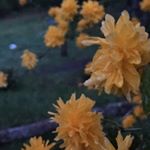 Profile Picture of Taylor (@minnick_photography) on Instagram