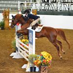 Profile Picture of Miranda Weber (@m.p.weber) on Instagram