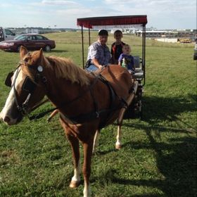 Profile Picture of Cathy Huebner (@chueb) on Pinterest