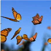 Profile Picture of Chrissy Rodriguez (@chrissyrodriguez6034) on Youtube