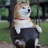 Profile Picture of Dilinger Matthews (@dilinger-matthews) on Quora