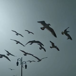 Profile Picture of Eric Pai (@Eric-Pai) on Facebook