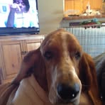 Profile Picture of Mark Lamberton (@mark.lamberton.35) on Facebook