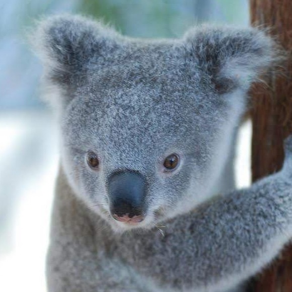 Samantha Dammand - Poshmark Profile Picture of Samantha Dammand (@sndammand) on Poshmark