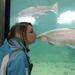 Profile Picture of Nicole Schray (@nvs0719) on Pinterest