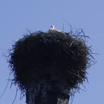 Stefan Meidinger - Facebook Profile Picture of Stefan Meidinger (@Stefan-Meidinger) on Facebook