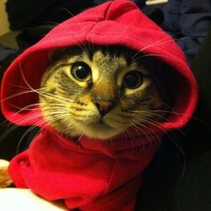 Janette Flores - Myspace Profile Picture of Janette Flores (@nenaboriqua67) on Myspace