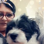 Profile Picture of Dawn McAlister (@dawny1311) on Instagram