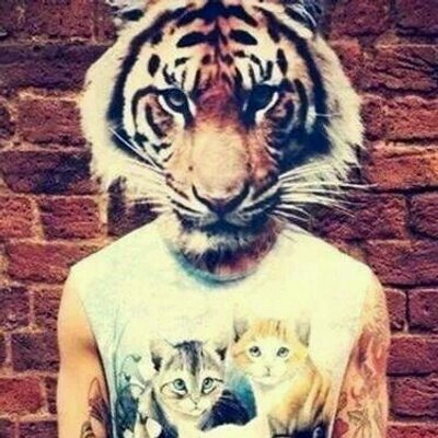 Profile Picture of Carlos Palmer (@carlosefra03) on Twitter
