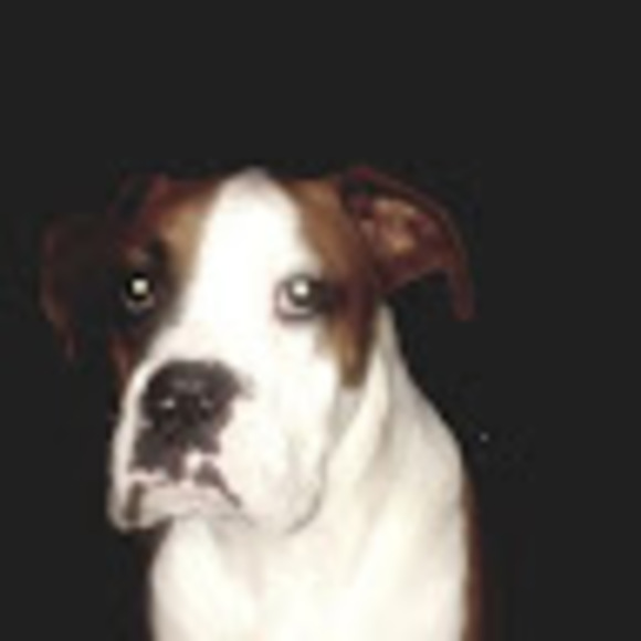 Profile Picture of Adam Hubbard (@hub8302) on Poshmark