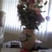 Profile Picture of Hazel Albright (@hazel.albright.75) on Facebook