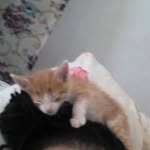 Profile Picture of Simone Tate (@tate_simone) on Instagram