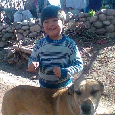 Profile Picture of Lala Alvarez (@lalaalvarez2014) on Twitter