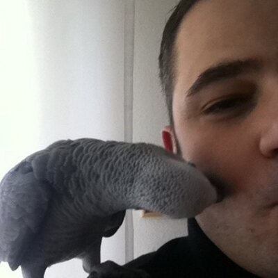 Profile Picture of Max Lupo (@giorgolupino) on Twitter