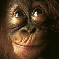 Profile Picture of Árpád Heizer (@Árpád-heizer) on Quora