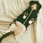 Profile Picture of coffee randy (@alicescarecrow) on Instagram