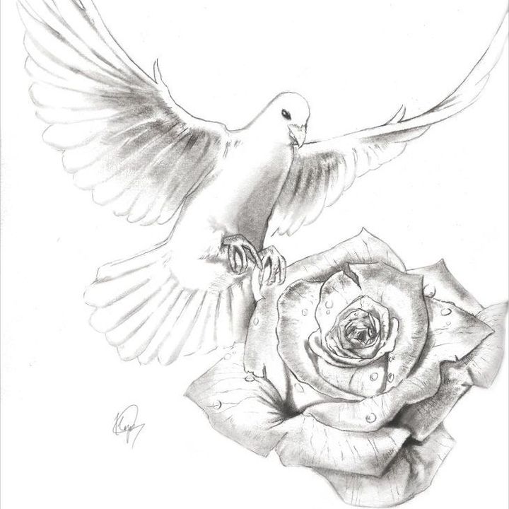 Profile Picture of rose.doves2 (@rose.doves2) on Tiktok