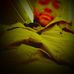 Profile Picture of Jason Hoggatt (@jason.hoggatt.319) on Facebook