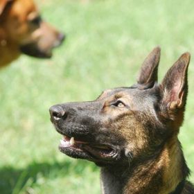 Profile Picture of Sherron Capitano (@sherroncapitano) on Pinterest