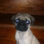 Profile Picture of Crystal S Markley (@crystals.markley) on Facebook