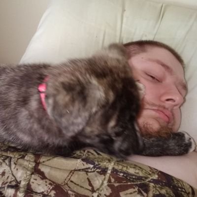 Profile Picture of Killerwood2085on Twitter