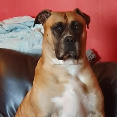 Tony Damien - Twitter Profile Picture of Tony Damien (@TonyDamien2) on Twitter