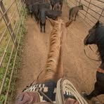 Profile Picture of Wilma D Adams (@Wilma-D-Adams) on Facebook