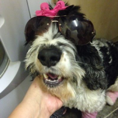 Profile Picture of Louise_Belding (@louise_belding) on Tiktok