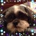 Profile Picture of Gwen Pendleton (@gwen.pendleton) on Facebook
