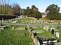 Profile Picture of Necrosolon Wikipedia