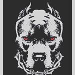 Profile Picture of targal__2001 targal_09 (@targal__2001) on Instagram