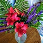 Profile Picture of Sue Hopper (@mahopper1) on Instagram