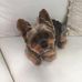 Profile Picture of Barbara Andersen (@barbara.andersen.940) on Facebook