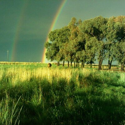 Profile Picture of Ian (@ian_moe) on Twitter