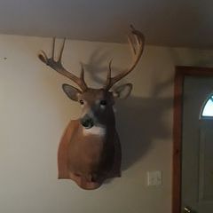 Profile Picture of Scott Magoon (@scott.magoon) on Tiktok