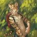 Profile Picture of Luis Perea furry (@lrodrijezcuenca) on Pinterest