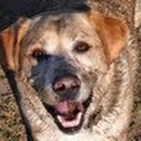 Profile Picture of Mitchell Colgan (@mitchell-colgan) on Quora