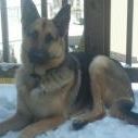 Profile Picture of Kelly Wheeler Epps (@kellyepps) on Pinterest