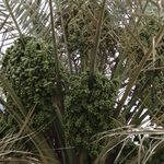 Profile Picture of Iftekharul Alam (@iftekharul_alam) on Instagram