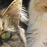 Profile Picture of Marianne Vos (@mfmdejaeger) on Instagram