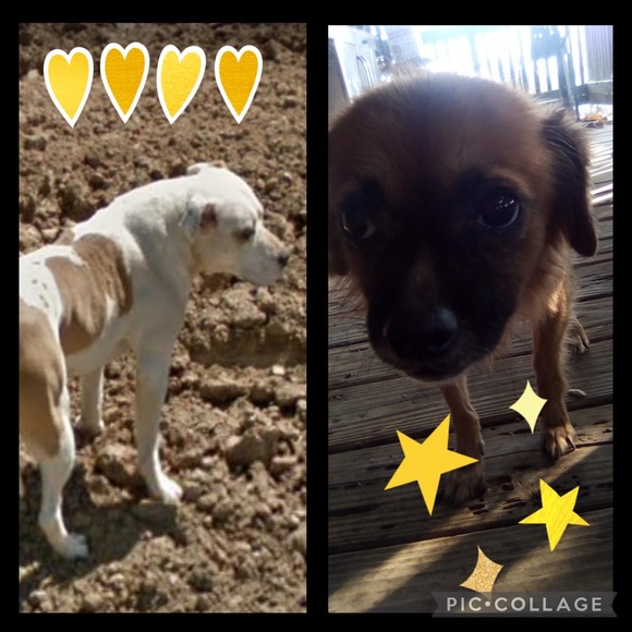 Profile Picture of Itzel Garcia (@animals767) on Poshmark