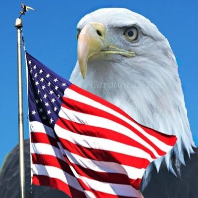 Profile Picture of Steven Alsbrooks (@AlsbrooksSteven) on Twitter