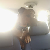 Profile Picture of Gabor Szabo (@gaborszabo955) on Youtube