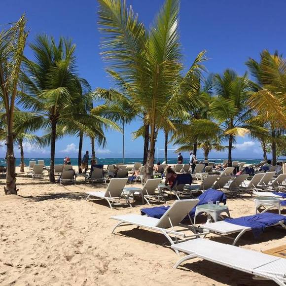 Ricky Rodrigues - Poshmark Profile Picture of Ricky Rodrigues (@rickyrodrigues) on Poshmark