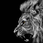 Profile Picture of Royal Leon (@royal_leons) on Instagram