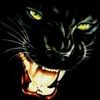 Profile Picture of Fábio Teixeira (@fábio-teixeira-5) on Quora